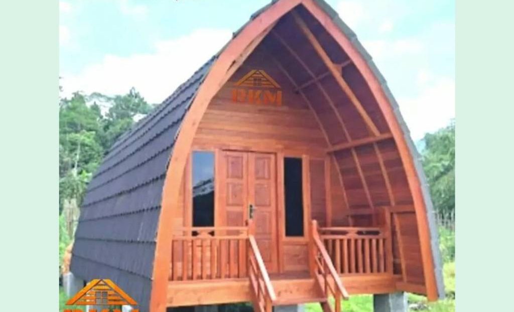 video image