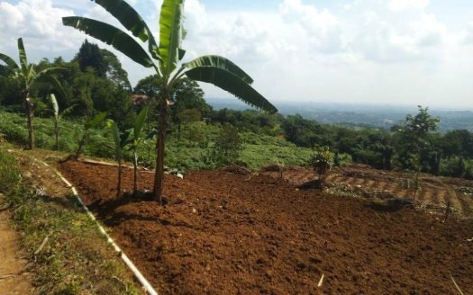 Dijual Tanah Kavling di Sentul Cijayanti