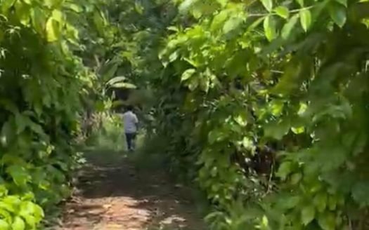 Dijual Tanah Kavling di Pasir Karet Cijayanti