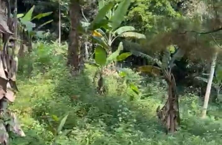 Whatsapp Image 2024 02 05 At 13.36.30 (3)