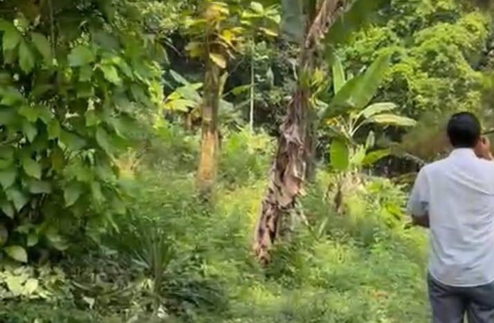 Whatsapp Image 2024 02 05 At 13.36.30