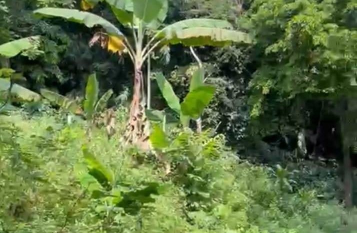 Whatsapp Image 2024 02 05 At 13.36.31 (2)