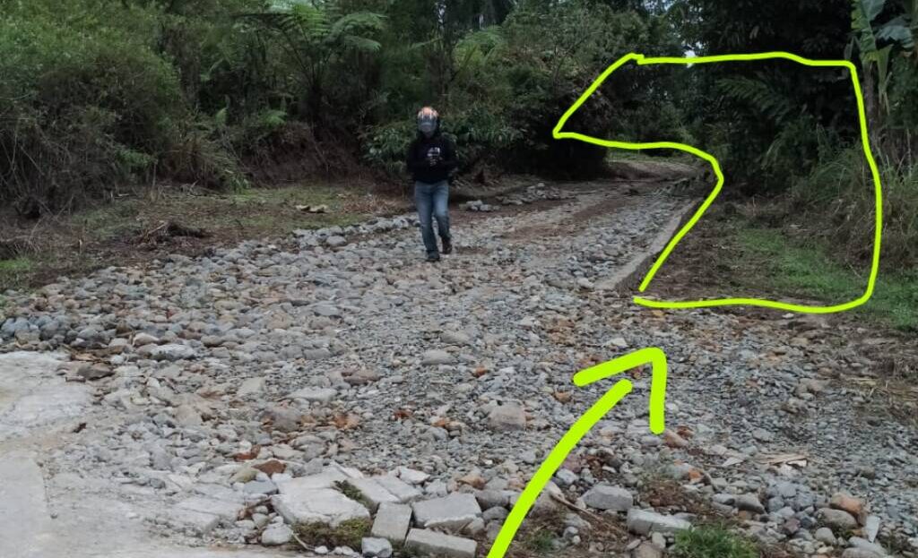 video image