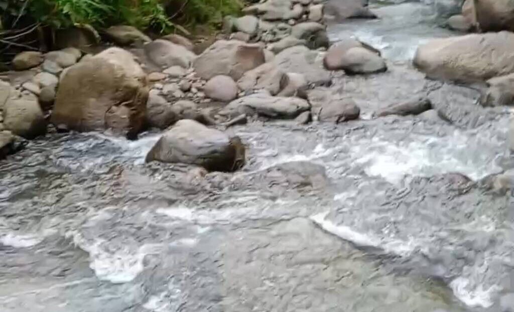 video image