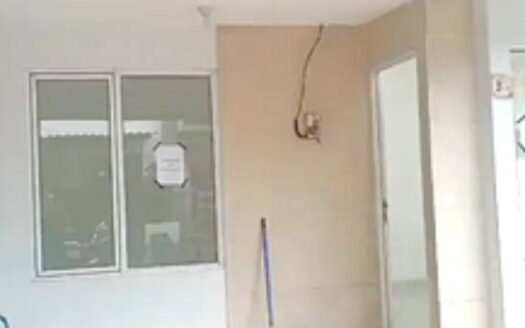 Rumah Tangerang Selatan, Setu, Kademangan – PERUMAHAN AKASIA VALLEY – 1 lt, UF (ahmad)