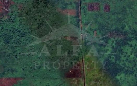 Jual Murah Tanah Perdana Pontianak Kota