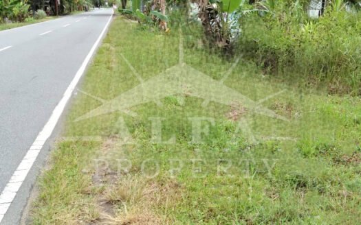 Jual Tanah 6 Hektare m² Mempawah Pontianak