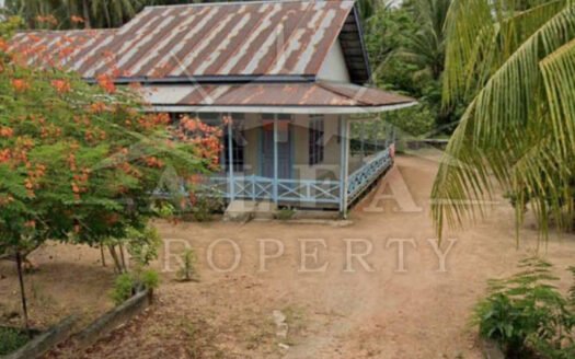 Jual Tanah Luas plus Kebun 10125m2 Mempawah Kijing Pontianak