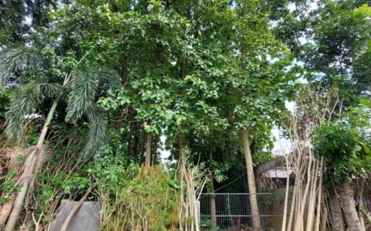 Dijual Tanah Kavling Murah di Meruya Utara Jakarta Barat