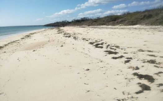 DIJUAL CEPAT: TANAH PINGGIR PANTAI KAGHONA, BONDO BOGHILA, SUMBA BARAT DAYA, NTT