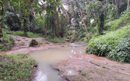 DIJUAL KEBUN KELAPA SAWIT 92.304 M² DI TALUN KENAS DELI SERDANG SUMUT (081264304189)