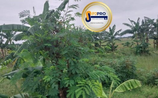 LAHAN di KP. Genting, Ds. Sukawangi