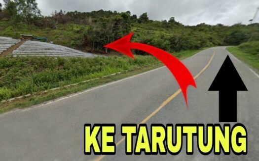 DIJUAL TANAH 3,6 HA PINGGIR JALAN LINTAS TARUTUNG – SIPIROK SUMUT (081264304189)