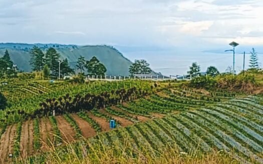 JUAL TANAH VIEW DANAU TOBA DAN BUKIT SIPISOPISO DIPINGGIR JALAN ASPAL (081264304189)