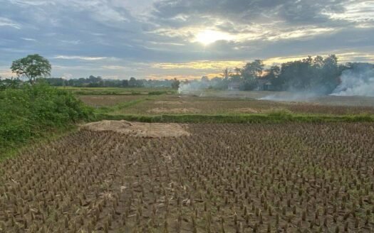 Dijual Tanah di Babat, Legok, Tangerang, Banten