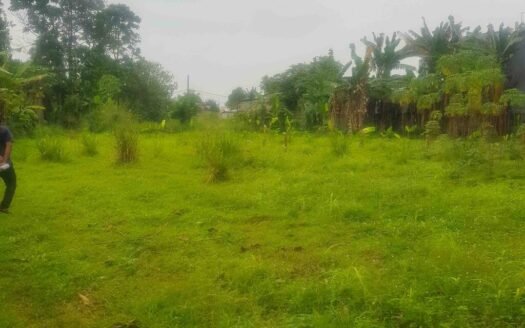 Di Jual Tanah Rawakalong Gunung Sindur Bogor murah bisa Nego