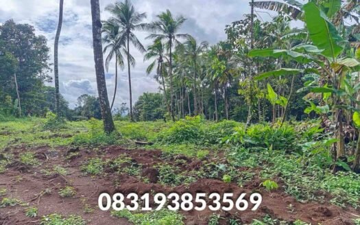 Jual Tanah Murah Pandeglang Banten