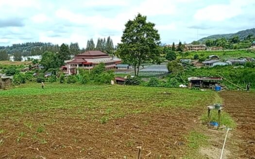 TANAH PECEREN BERASTAGI DIJUAL 14.236M² SHM