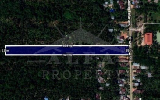 Jual Murah Tanah Hamparan Bonus Kebun Siap Panen