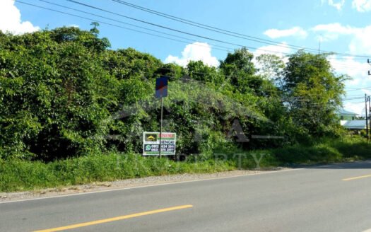 Jalur Wisata! Tanah Kavling Siap Bangun untuk Resto & Resort