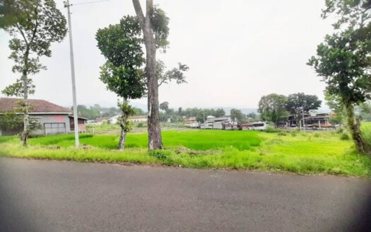 Jual Tanah Jl.Koperasi PACET Mojokerto