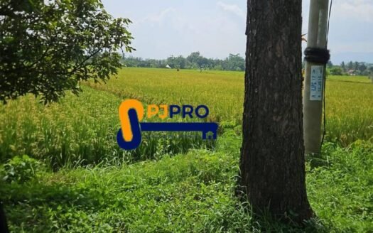 Dijual Lahan Siap Pakai Cocok untuk Gudang Pabrik di Cianjur Jawa Barat