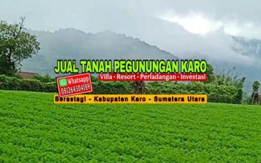 Agency Image
