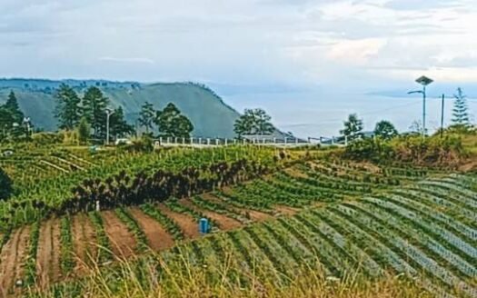 DIJUAL TANAH VIEW DANAU TOBA DEKAT SIMALEM RESORT O8I3II6II4I