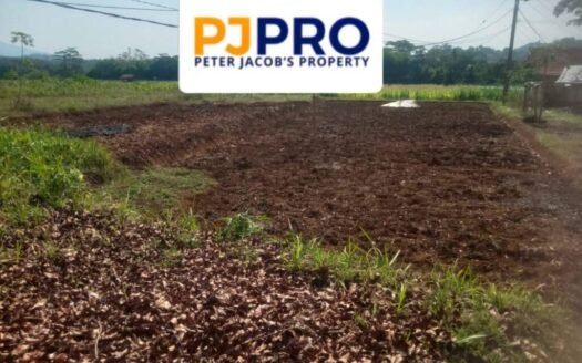 Dijual Sebidang Tanah Darat Rata Tidak Bergelombang Di Desa Sukatali Sumedang